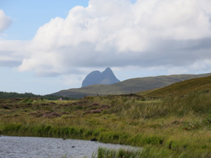 Altnacealgach Motel Image 3