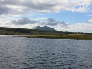 Altnacealgach Motel Image 4