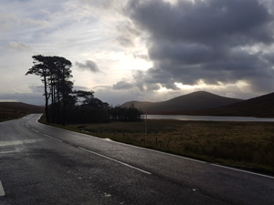 Altnacealgach Motel Image 13